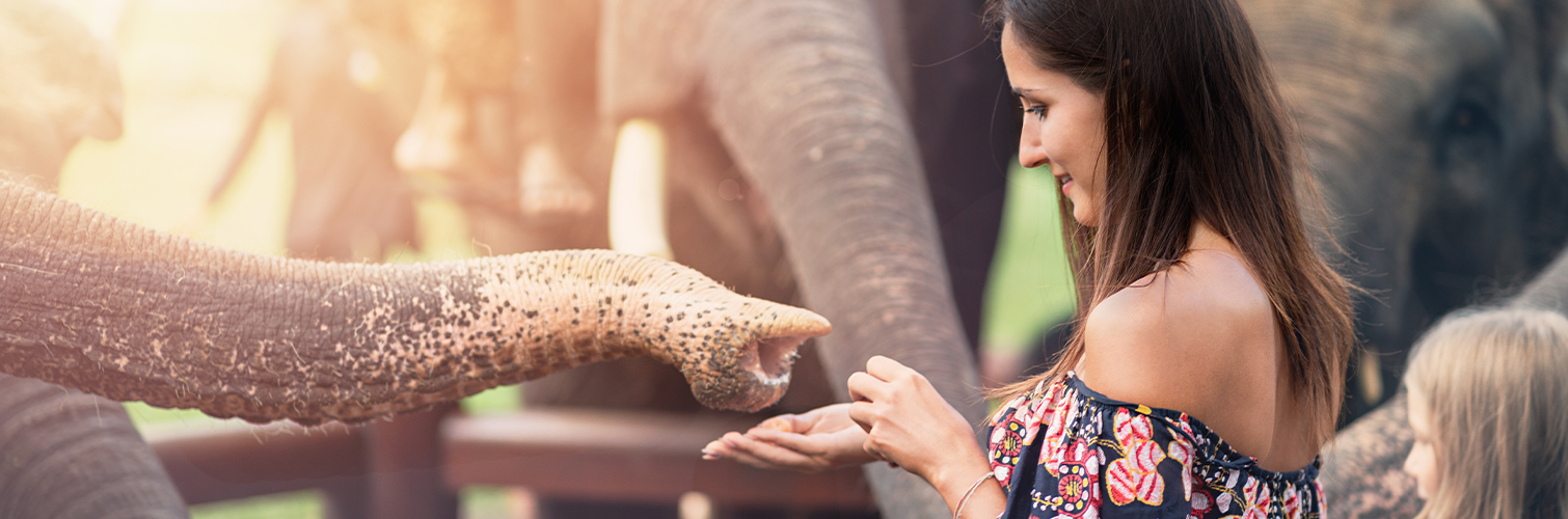 Diskon 20% untuk Tiket masuk image